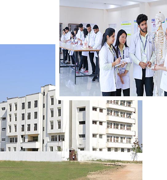 Top Nursing College Meerut NCR